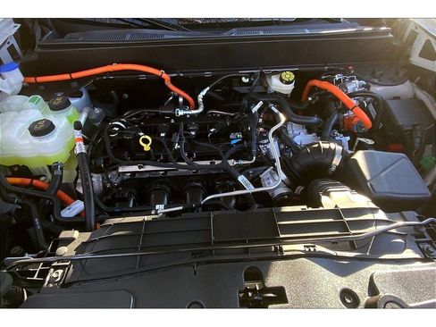 New 2026 Ford Maverick XLT w/ Equipment Group 301A image 12