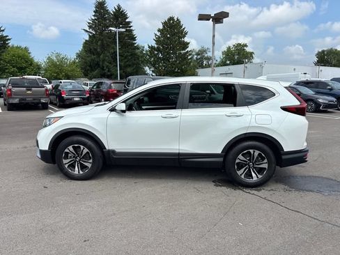 Used 2021 Honda CR-V Special Edition image 3