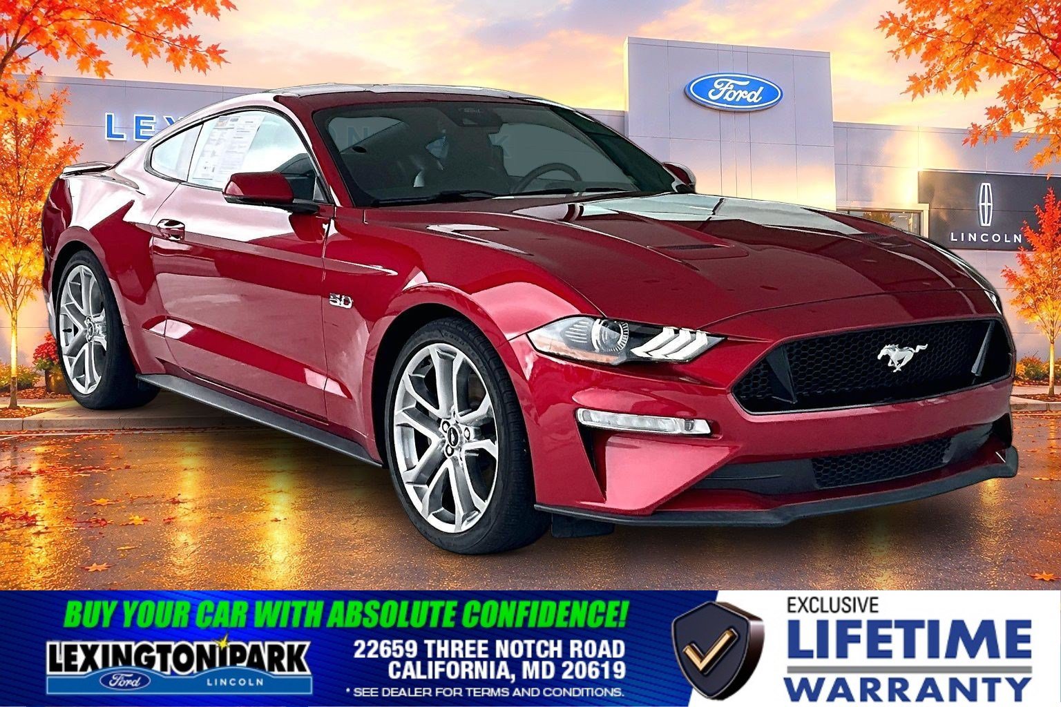 Used 2021 Ford Mustang GT Premium w/ Equipment Group 401A RWD image 1