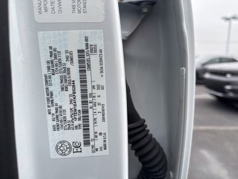 Used 2019 Ford F150 XLT w/ Equipment Group 302A Luxury image 8