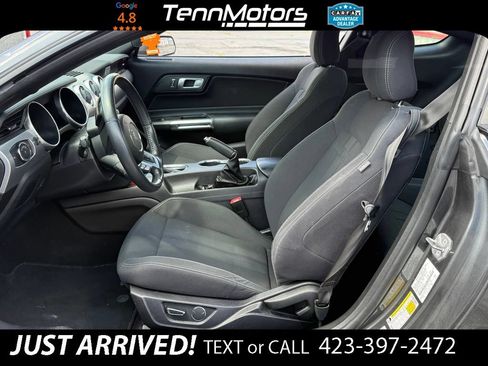 Used 2019 Ford Mustang GT RWD image 10