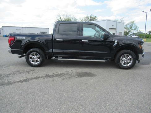 Used 2025 Ford F150 XLT w/ Equipment Group 301A Standard image 4