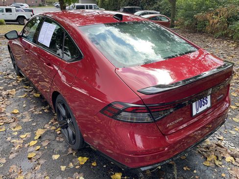 Used 2023 Honda Accord Sport image 3