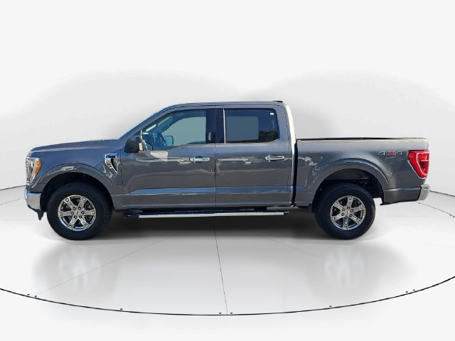 Used 2023 Ford F150 XLT w/ Equipment Group 302A High AWD/4WD image 6