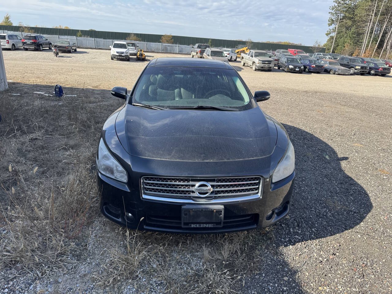 Used 2011 Nissan Maxima 3.5 SV w/ Premium Pkg FWD image 7
