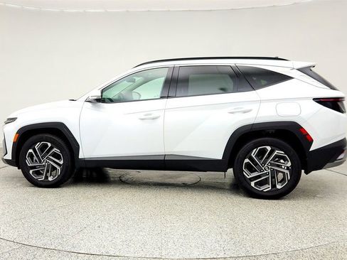 Used 2025 Hyundai Tucson Limited AWD/4WD image 8