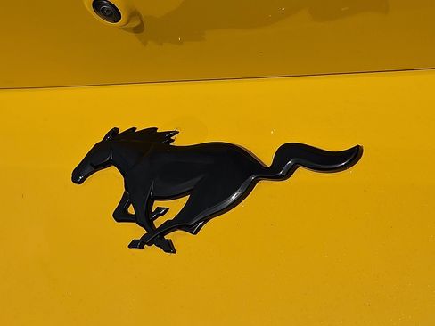 Certified 2024 Ford Mustang Coupe RWD image 15