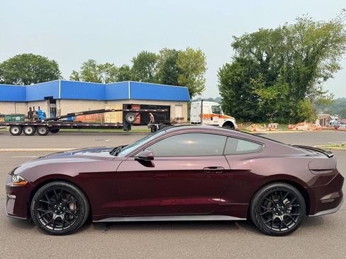 Used 2018 Ford Mustang Coupe w/ Ecoboost Performance Package RWD image 3