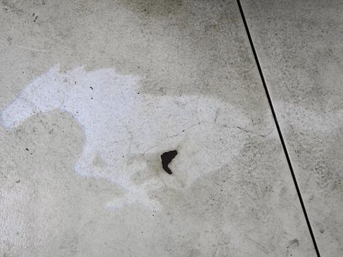 Used 2023 Ford Mustang GT Premium w/ Equipment Group 401A image 18