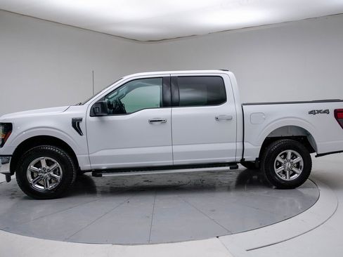 Used 2025 Ford F150 XLT w/ Equipment Group 301A Standard image 6