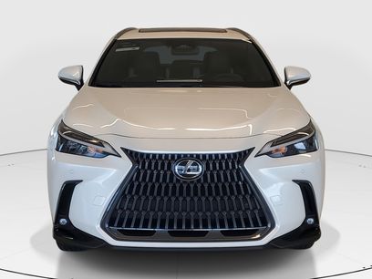 Used 2023 Lexus NX 350h AWD