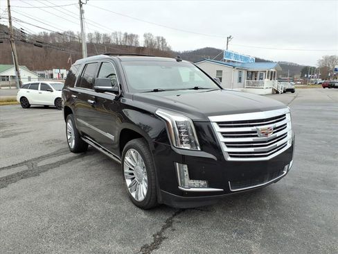 Used 2016 Cadillac Escalade Platinum image 6