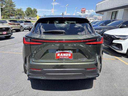 Used 2025 Lexus NX 350h AWD w/ Cold Area Package image 6