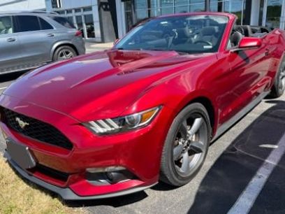Used 2015 Ford Mustang Convertible w/ Equipment Group 051A