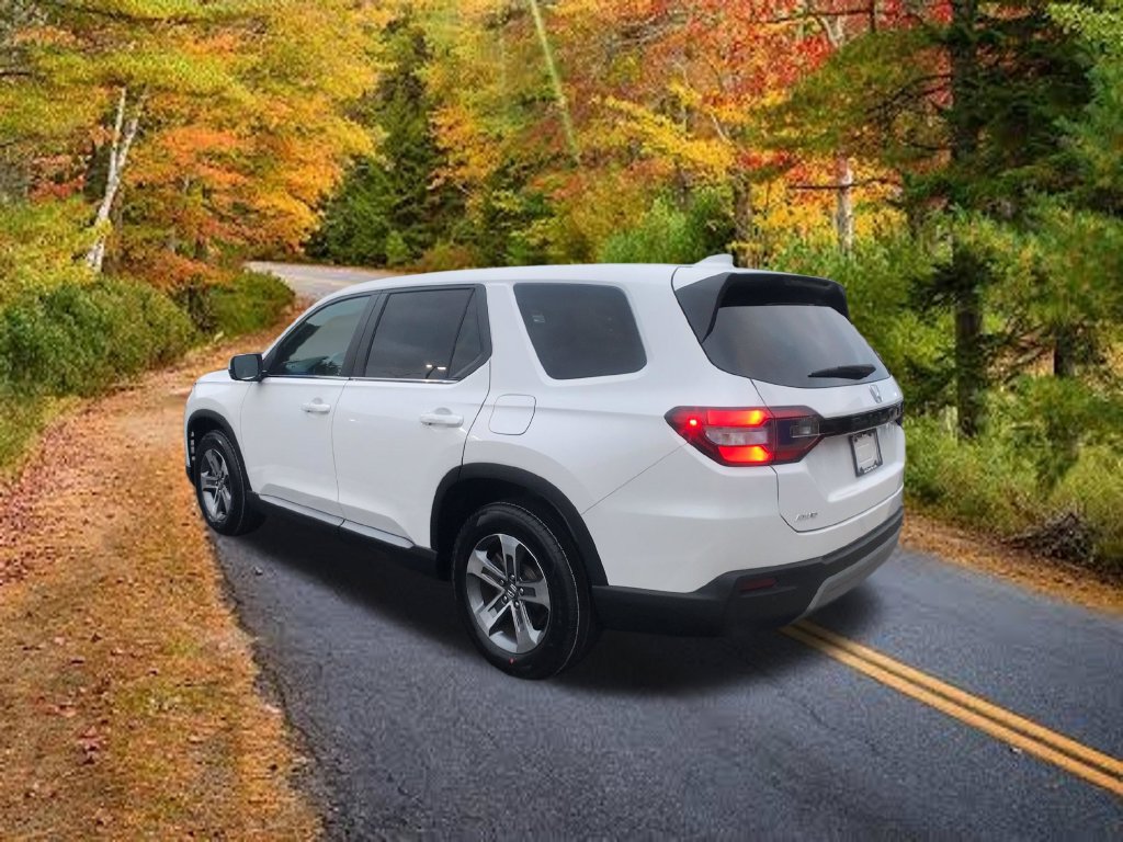 Certified 2025 Honda Pilot EX-L image 10