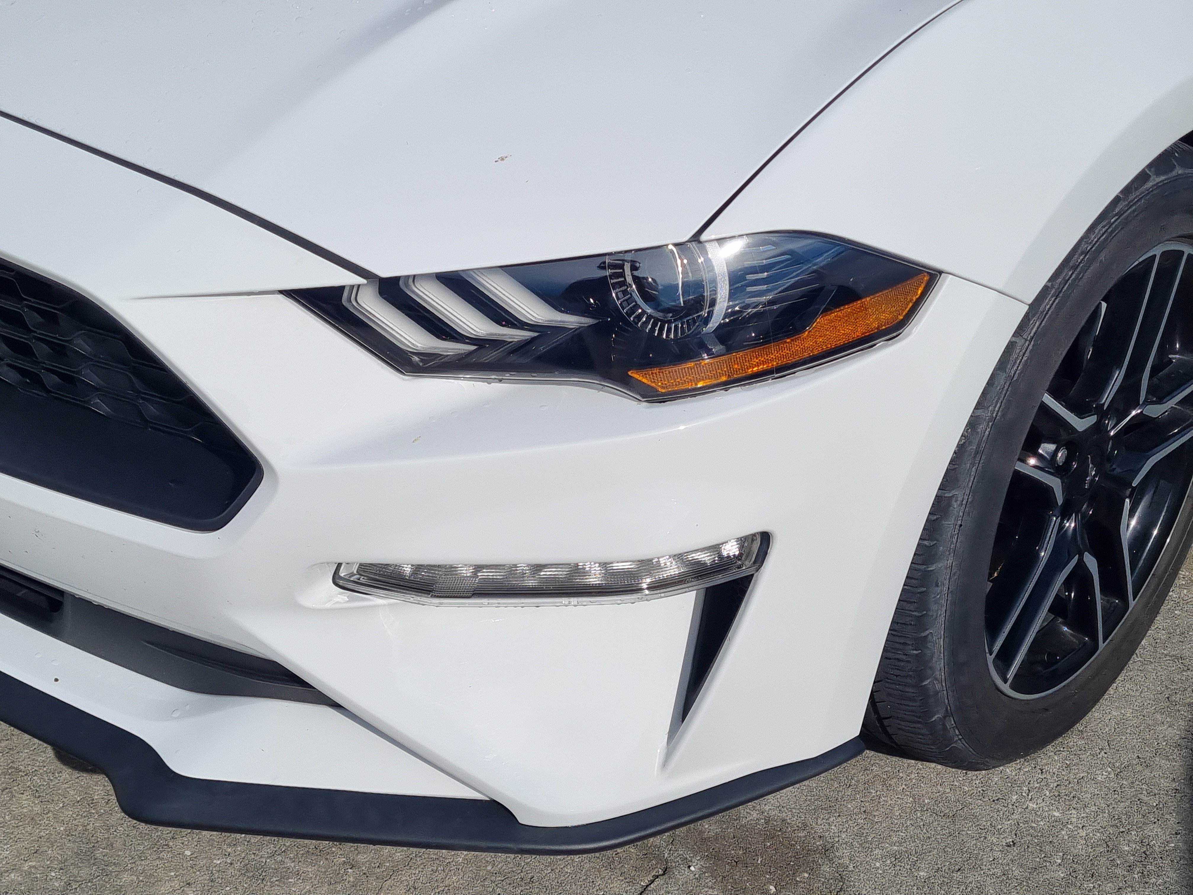 Used 2022 Ford Mustang Coupe w/ Equipment Group 101A RWD image 4