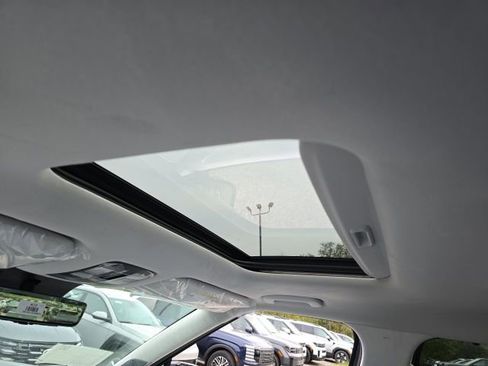 New 2026 Hyundai Palisade Calligraphy image 6