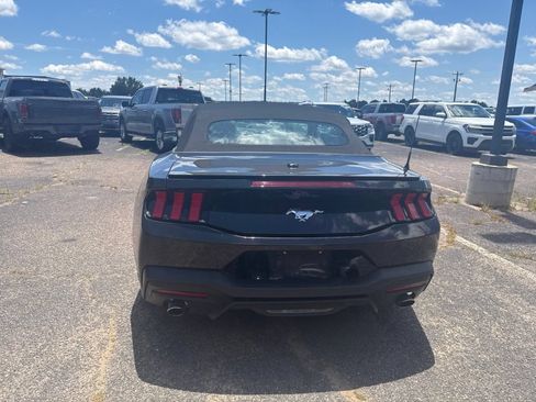 Used 2024 Ford Mustang Premium RWD image 6