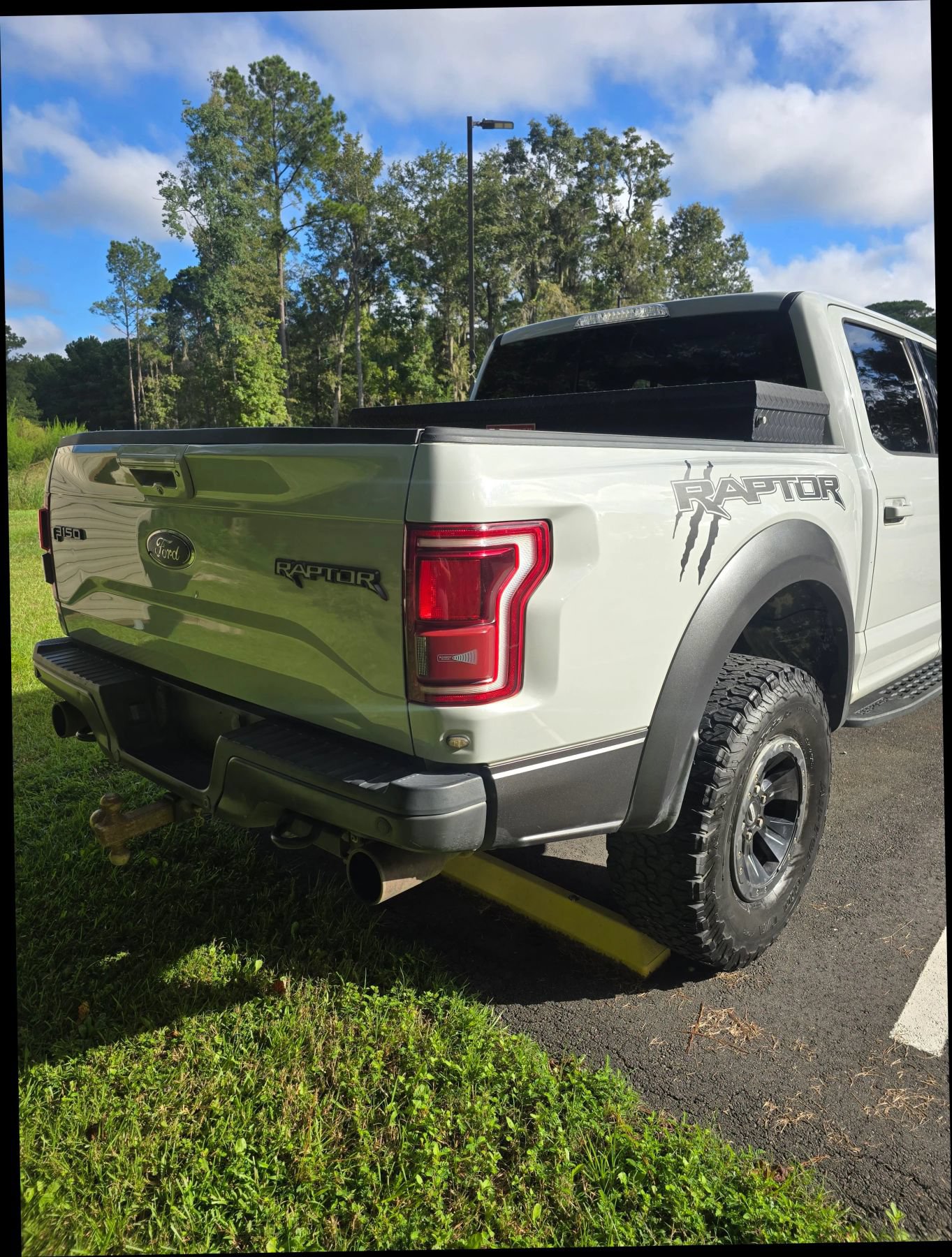 Used 2017 Ford F150 Raptor w/ Equipment Group 802A Luxury AWD/4WD image 8