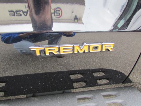 Used 2025 Ford Expedition Tremor image 13