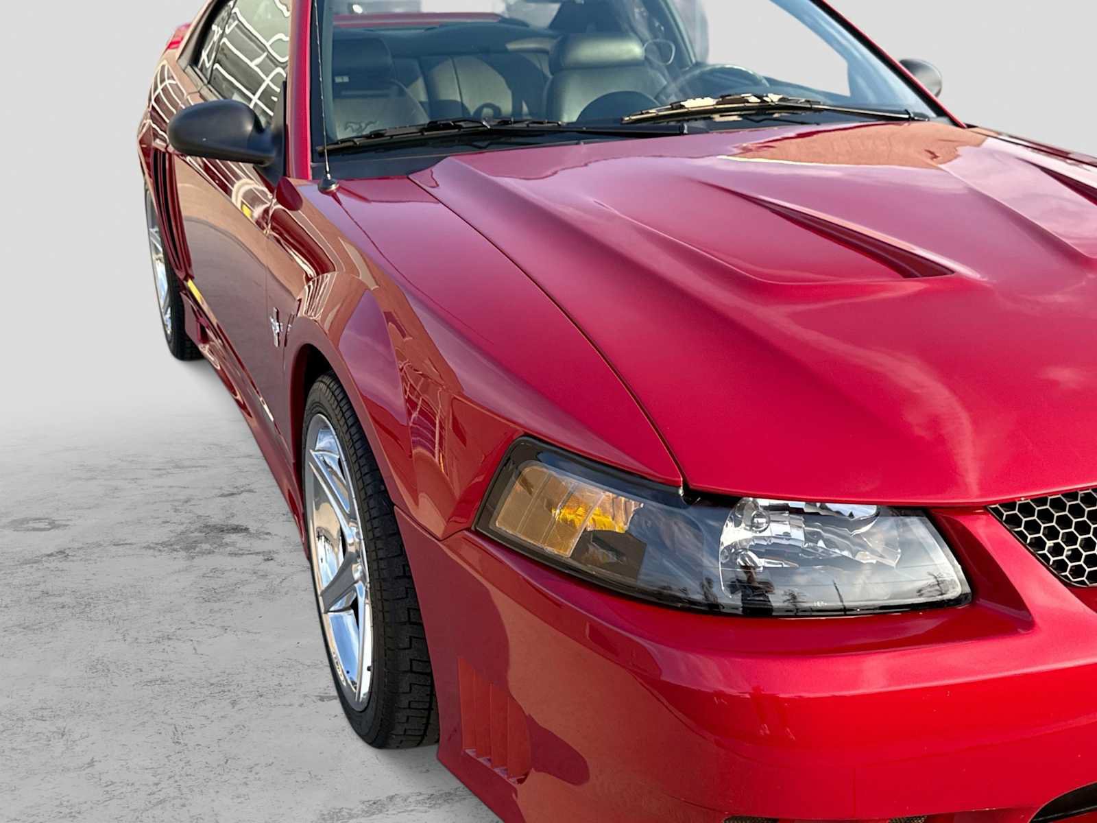 Used 2002 Ford Mustang GT RWD image 14