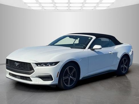 Used 2025 Ford Mustang Premium RWD image 3