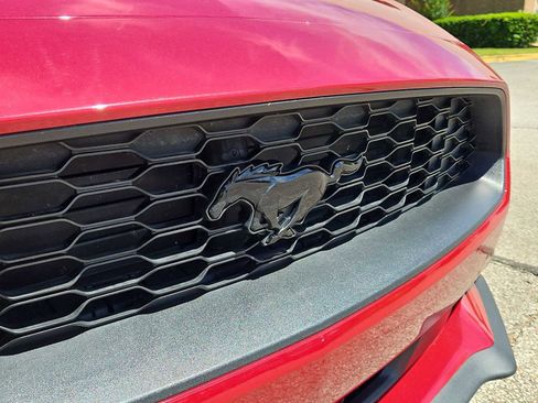 Used 2023 Ford Mustang Coupe w/ Equipment Group 101A RWD image 13