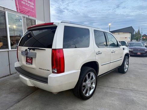 Used 2010 Cadillac Escalade Premium image 7