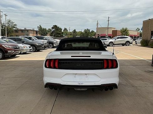 Used 2019 Ford Mustang GT Premium w/ Equipment Group 401A RWD image 6