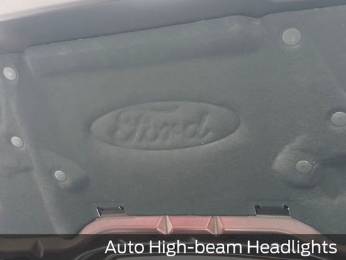 New 2025 Ford F150 XLT w/ Equipment Group 302A MID image 27