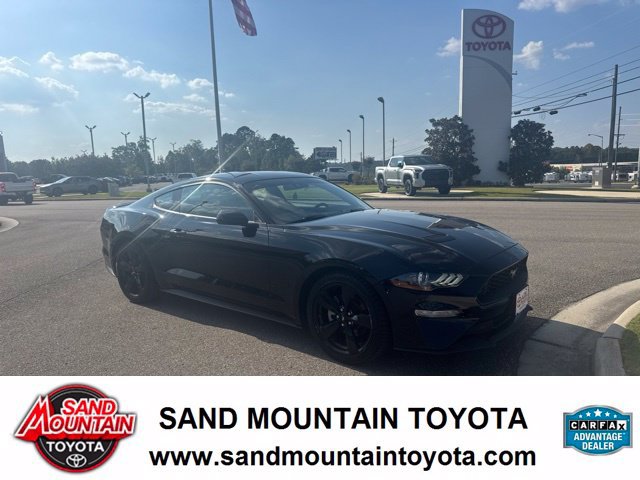 Used 2023 Ford Mustang Coupe w/ Equipment Group 101A RWD image 1