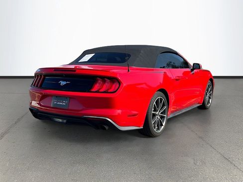 Used 2019 Ford Mustang Premium w/ Equipment Group 201A RWD image 7