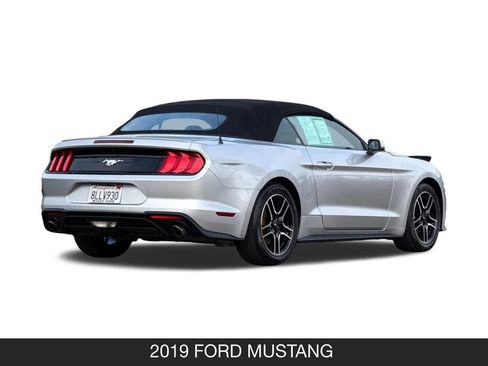 Used 2019 Ford Mustang Premium image 6