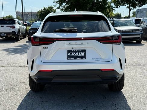 Used 2025 Lexus NX 350h AWD w/ Cold Area Package image 6