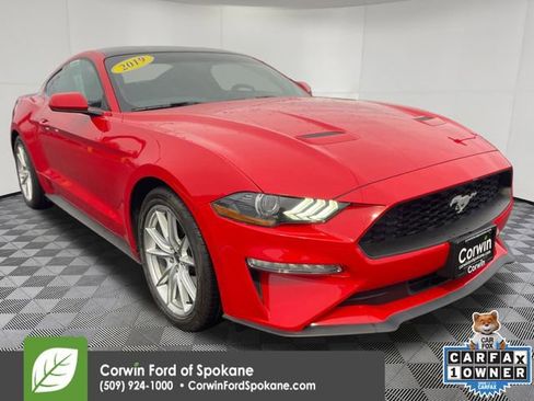 Used 2019 Ford Mustang Coupe w/ Equipment Group 101A image 1