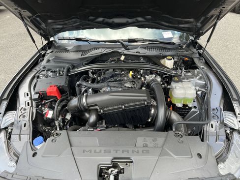 New 2026 Ford Mustang Premium w/ Mustang Nite Pony Package RWD image 26