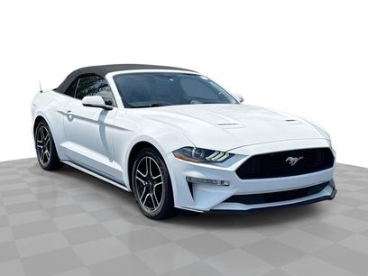 Used 2019 Ford Mustang Premium