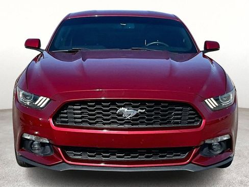Used 2016 Ford Mustang Premium w/ Equipment Group 201A image 5