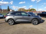 New 2025 Ford Escape ST-Line Elite image 4