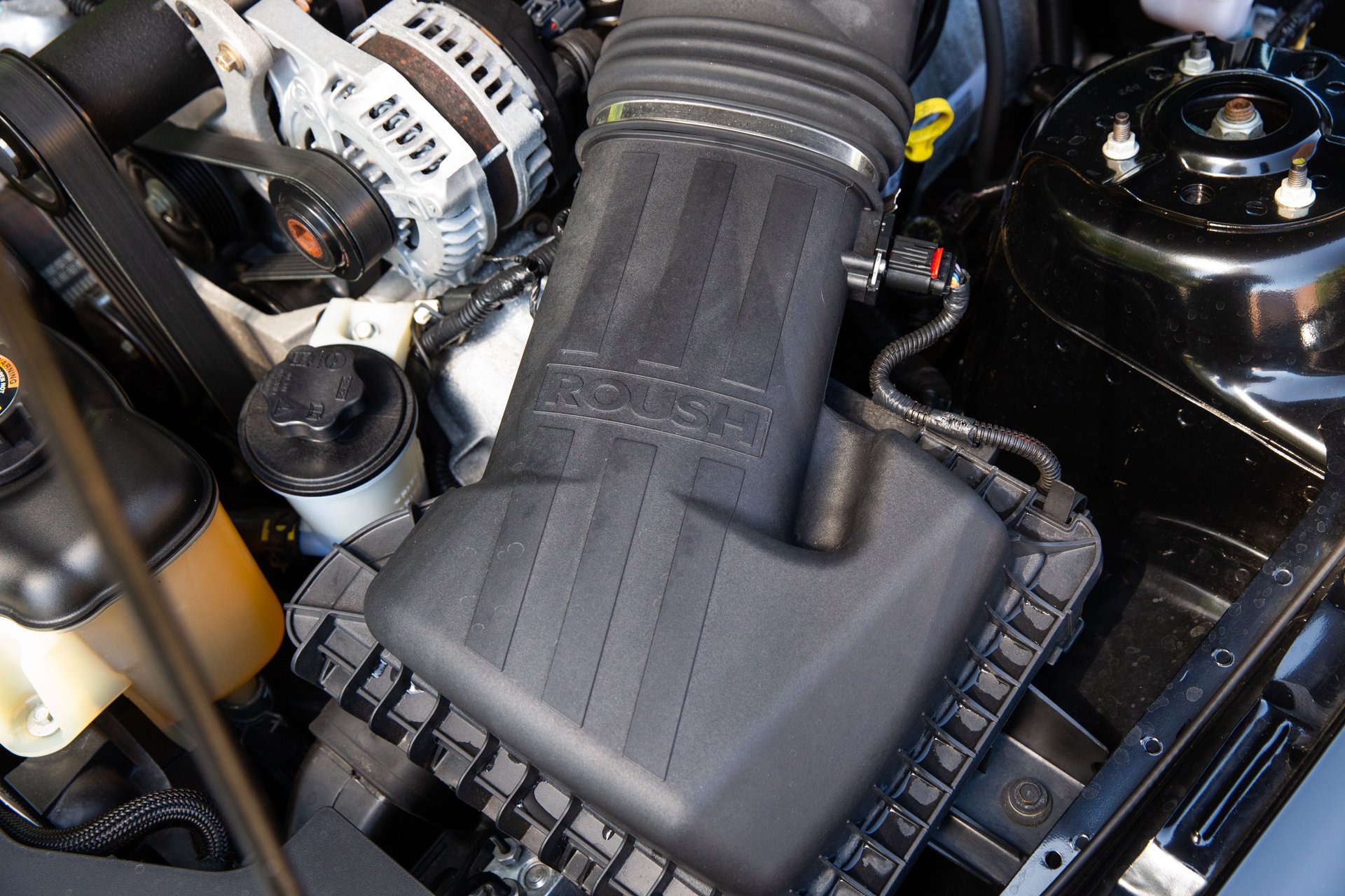 Used 2010 Ford Mustang GT RWD image 53