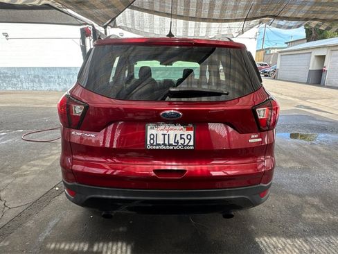 Used 2019 Ford Escape SE image 5
