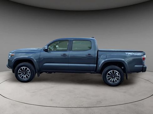 Used 2022 Toyota Tacoma TRD Sport w/ Black Out Package (TMS) AWD/4WD image 2