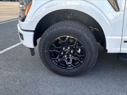 Used 2025 Ford F150 XLT w/ Equipment Group 302A MID image 11