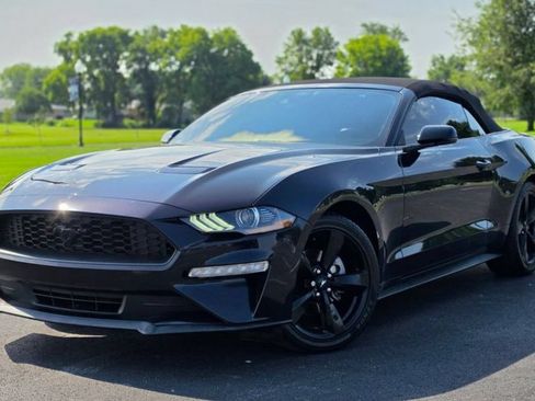 Used 2022 Ford Mustang Premium w/ Equipment Group 201A RWD image 1