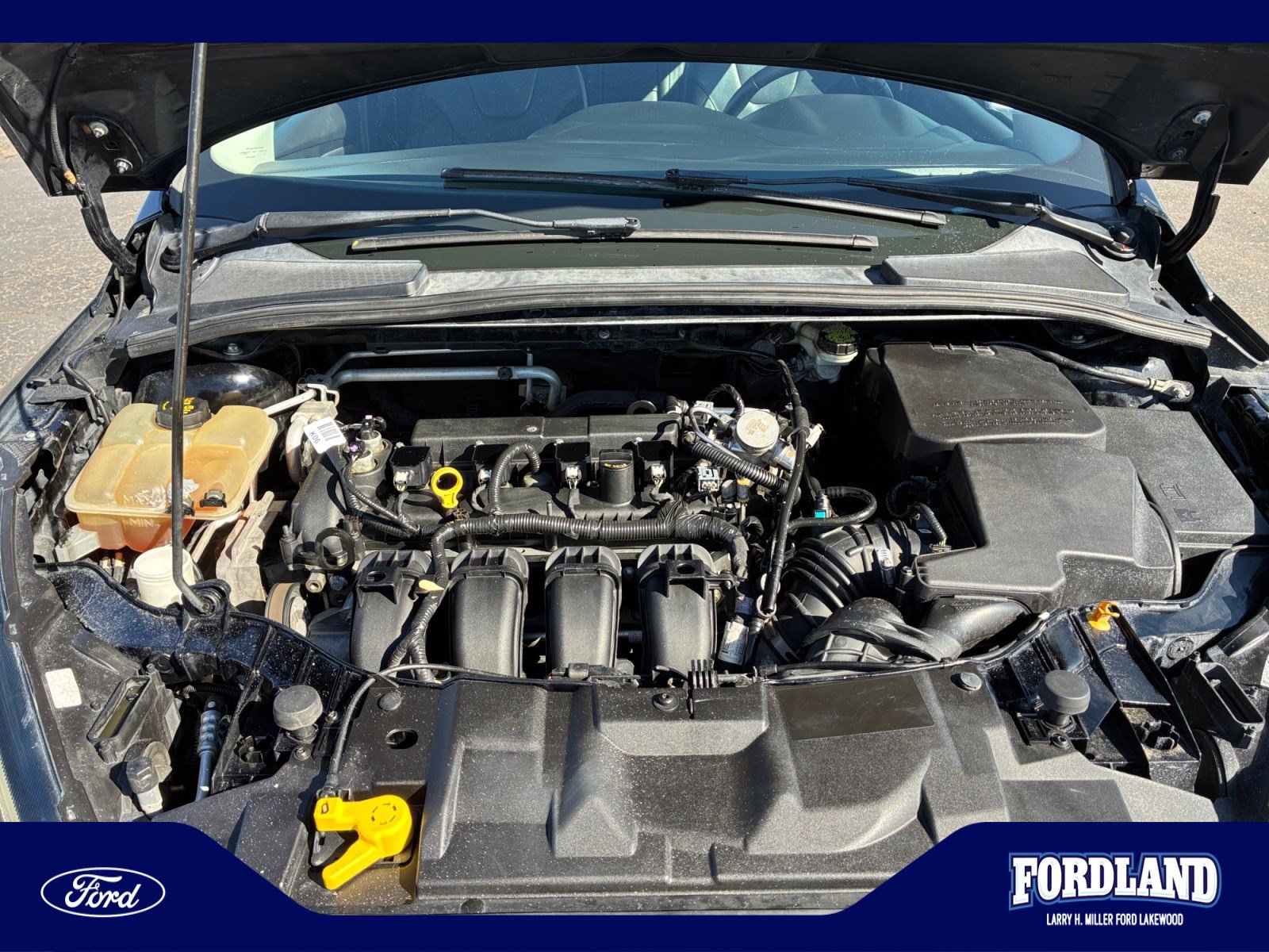Used 2016 Ford Focus SE w/ Equipment Group 201A FWD image 21