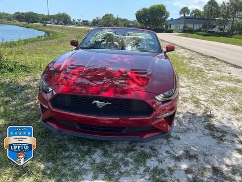 Used 2022 Ford Mustang Premium w/ Equipment Group 201A RWD image 2