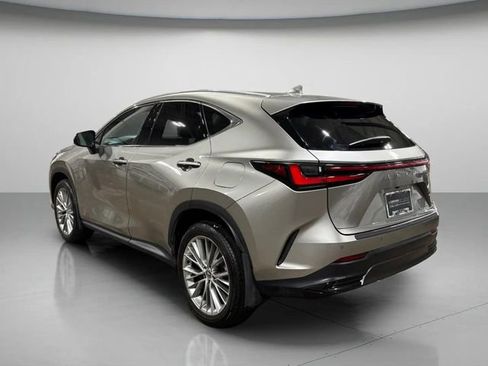 Used 2025 Lexus NX 350h AWD w/ Cold Area Package image 6