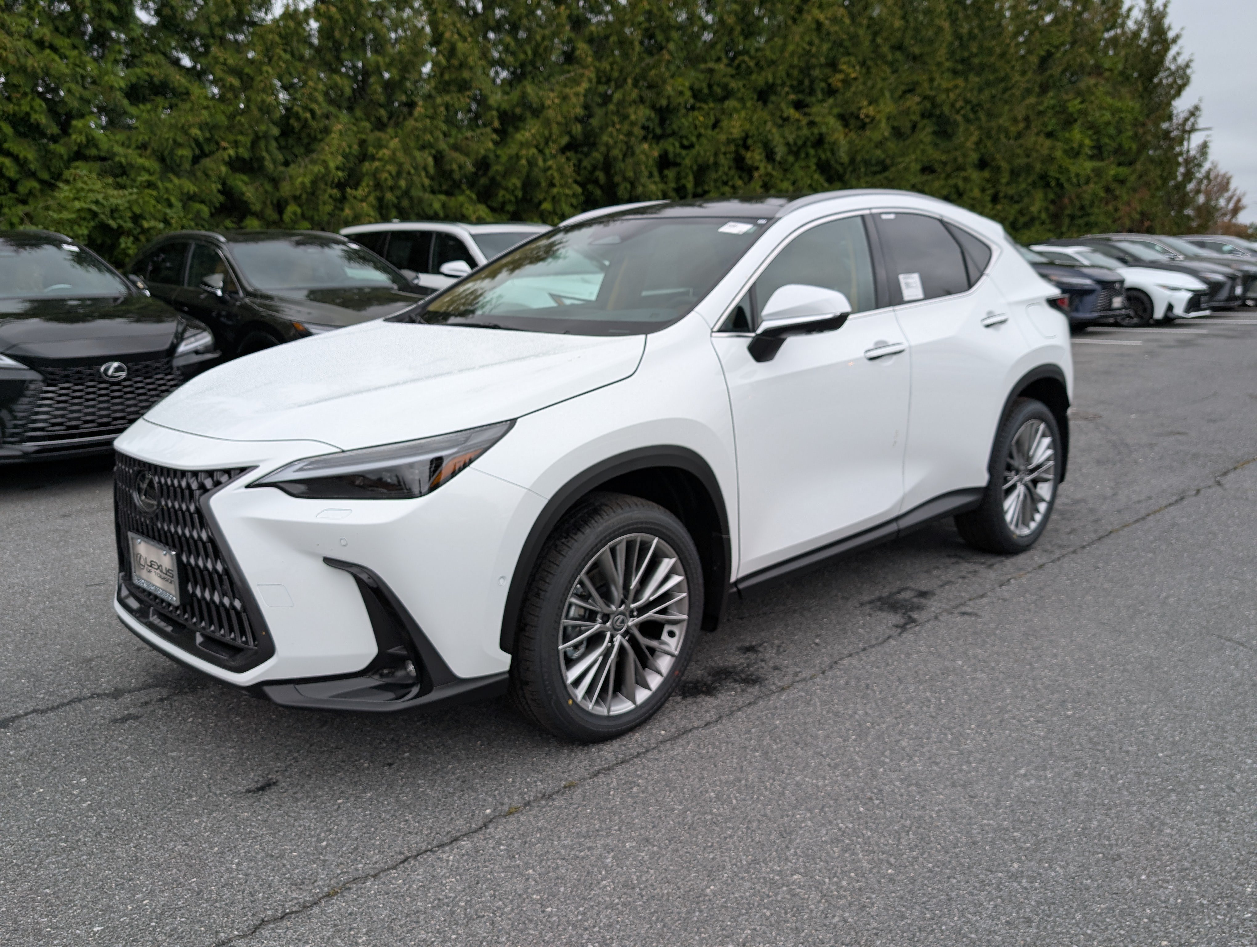New 2026 Lexus NX 350 AWD w/ Luxury Package image 4