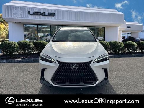 Used 2025 Lexus NX 250 FWD w/ Cold Area Package image 8