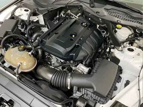 Used 2019 Ford Mustang Premium RWD image 15